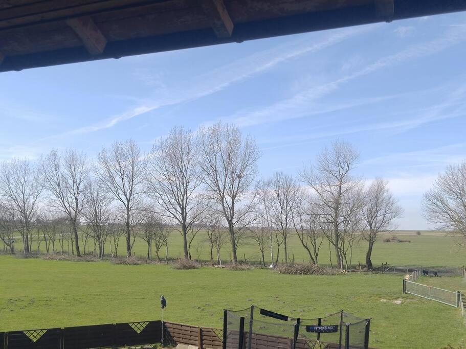 Erholung Auf Der Deichschaeferei Mit Deichblick Apartman Schillig Kültér fotó